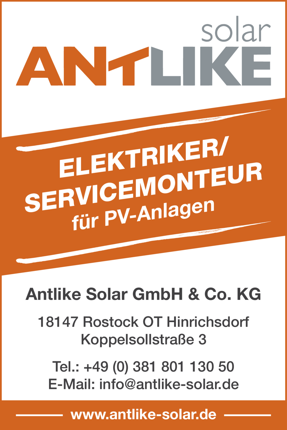 Elektriker/Servicemonteur (m/w/d)