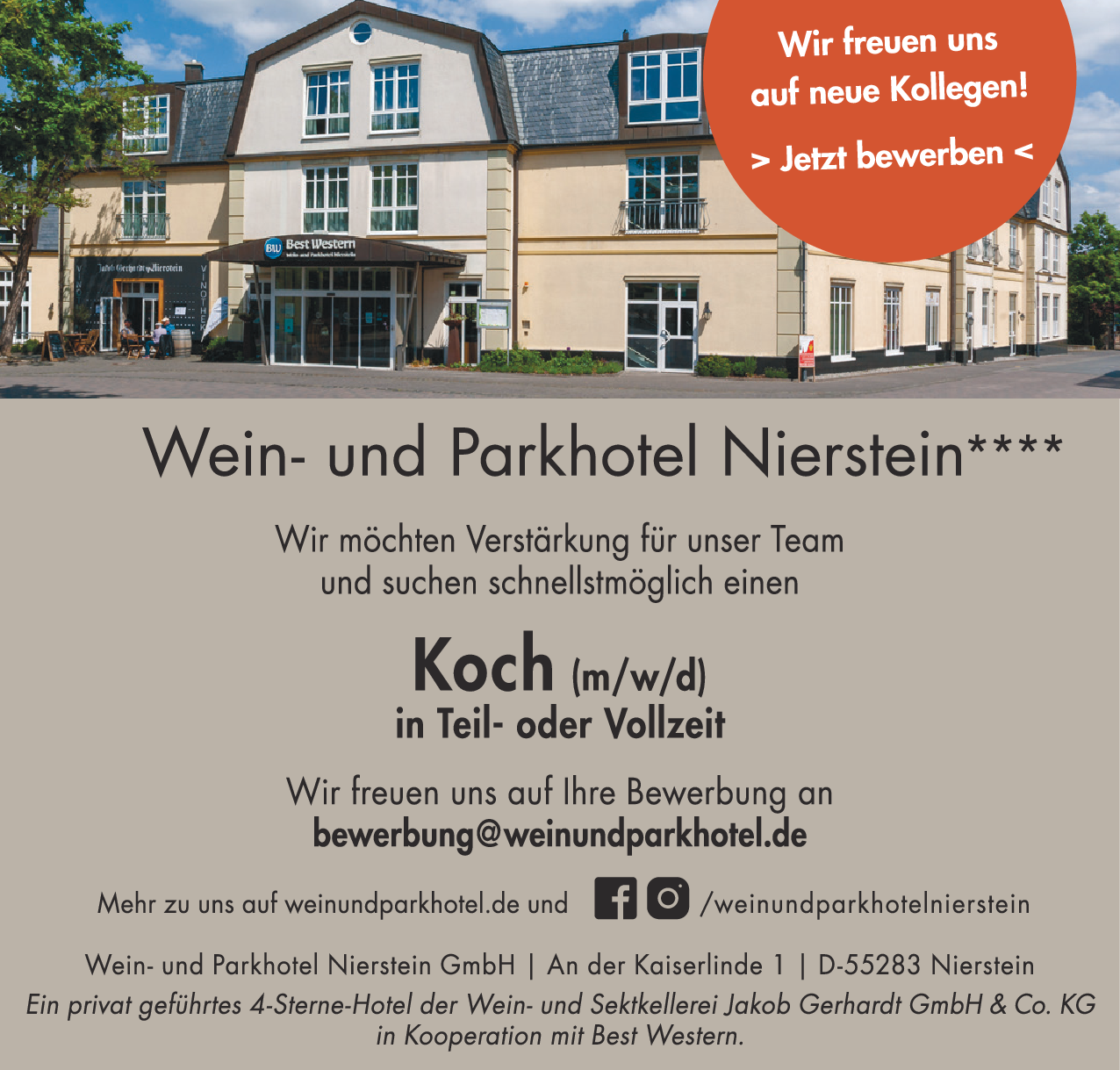 Koch (m/w/d)
