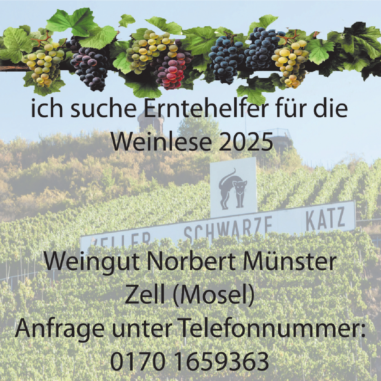 Erntehelfer (m/w/d)