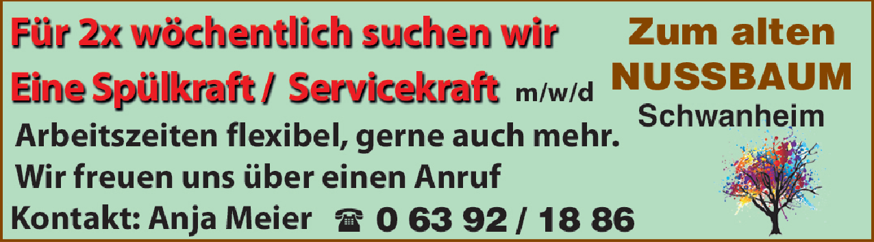 Spülkraft (m/w/d)