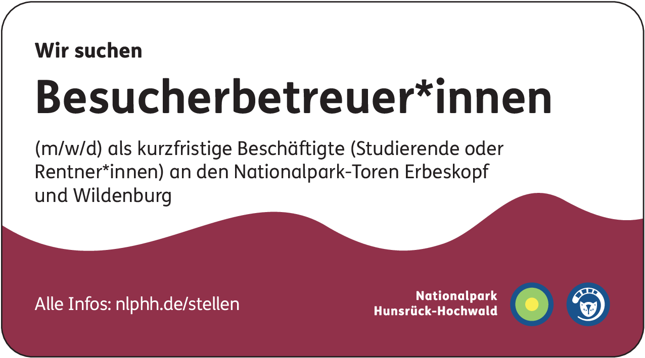 Besucherbetreuer (m/w/d)