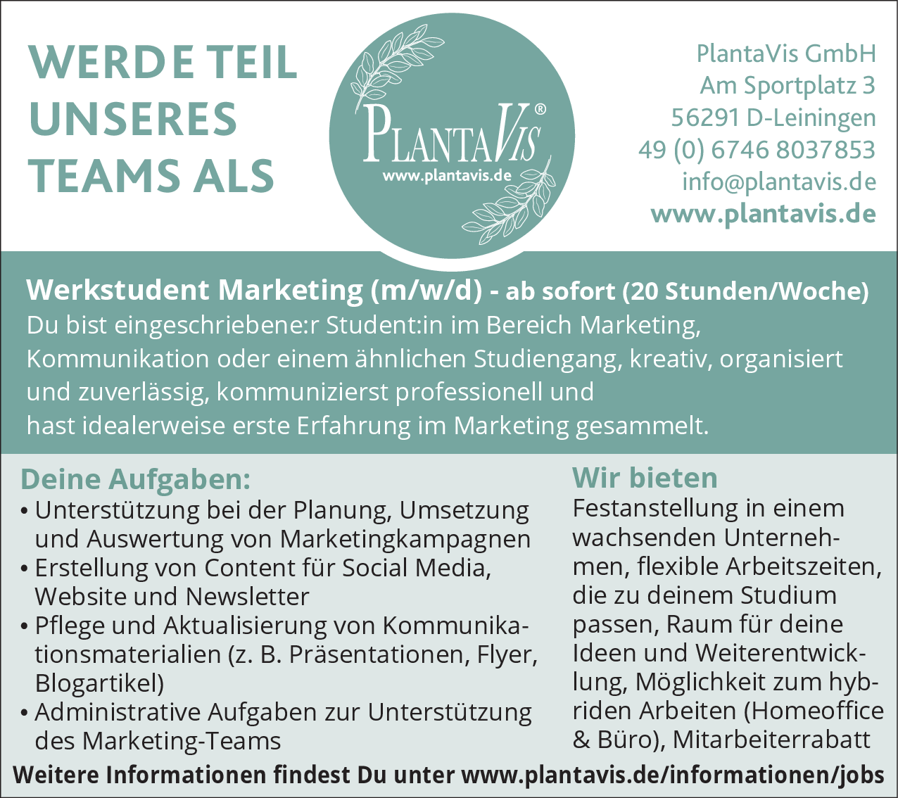 Werkstudent Marketing (m/w/d)