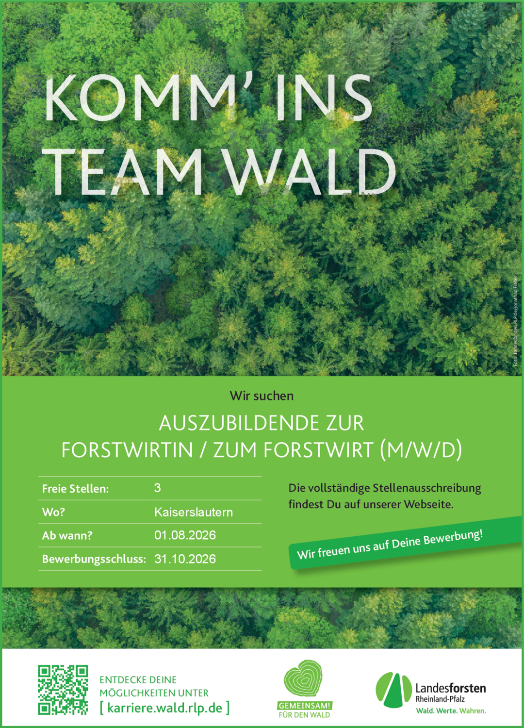 Auszubildende zur Forstwirtin / zum Forstwirt (m/w/d)