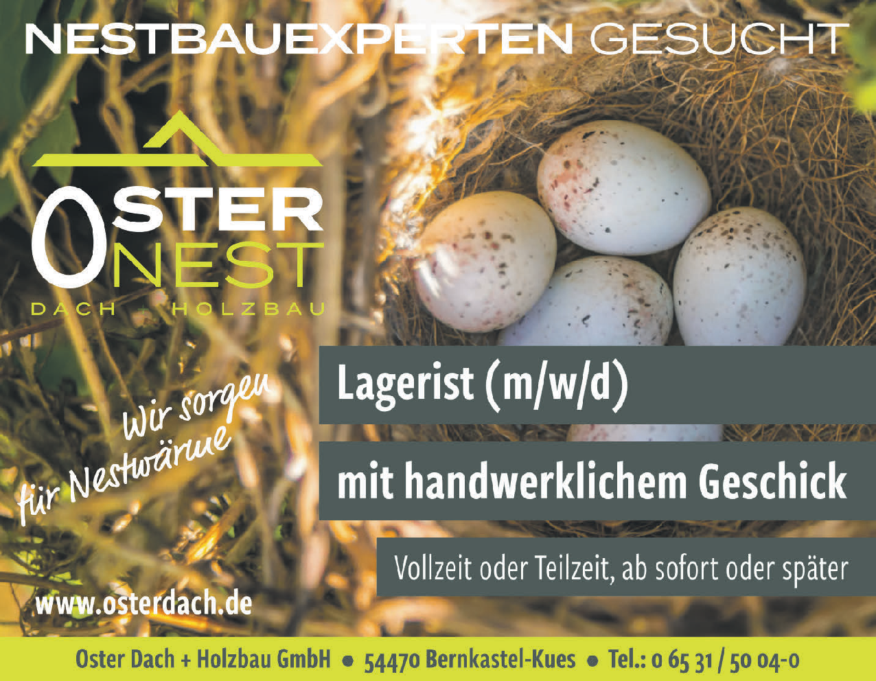 Lagerist (m/w/d) mit handwerklichem Geschick