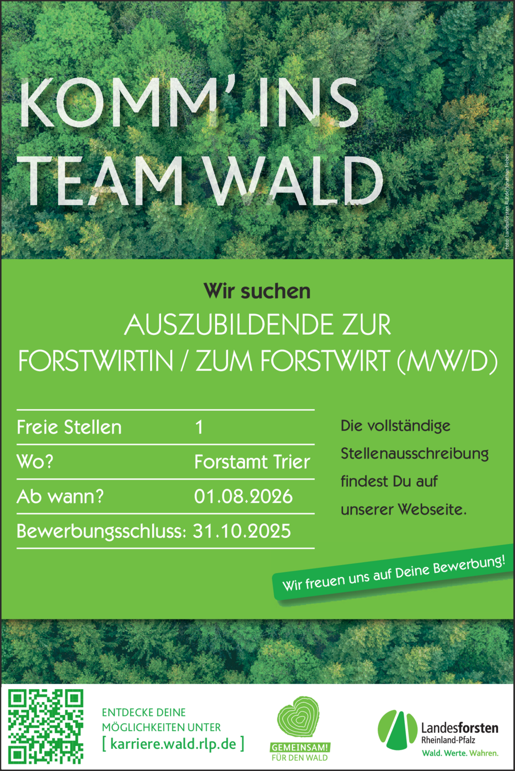 Auszubildende zur Forstwirtin / zum Forstwirt (m/w/d)