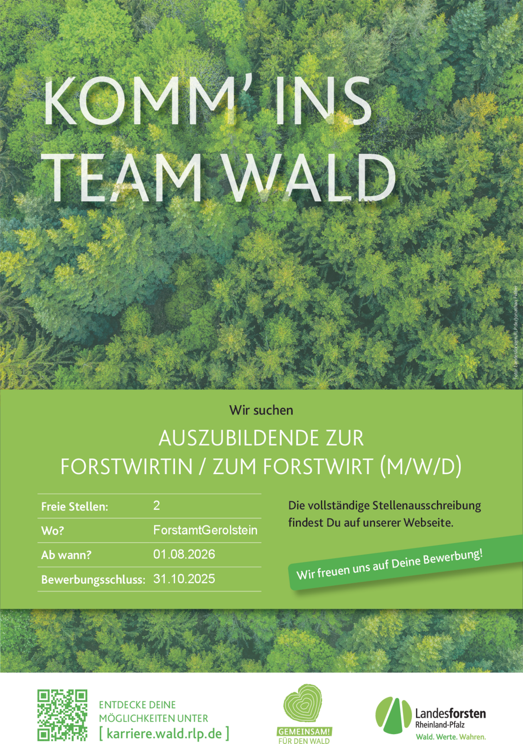Auszubildende zur Forstwirtin (m/w/d)