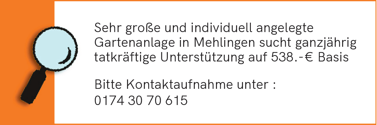 Unterstützung (m/w/d)