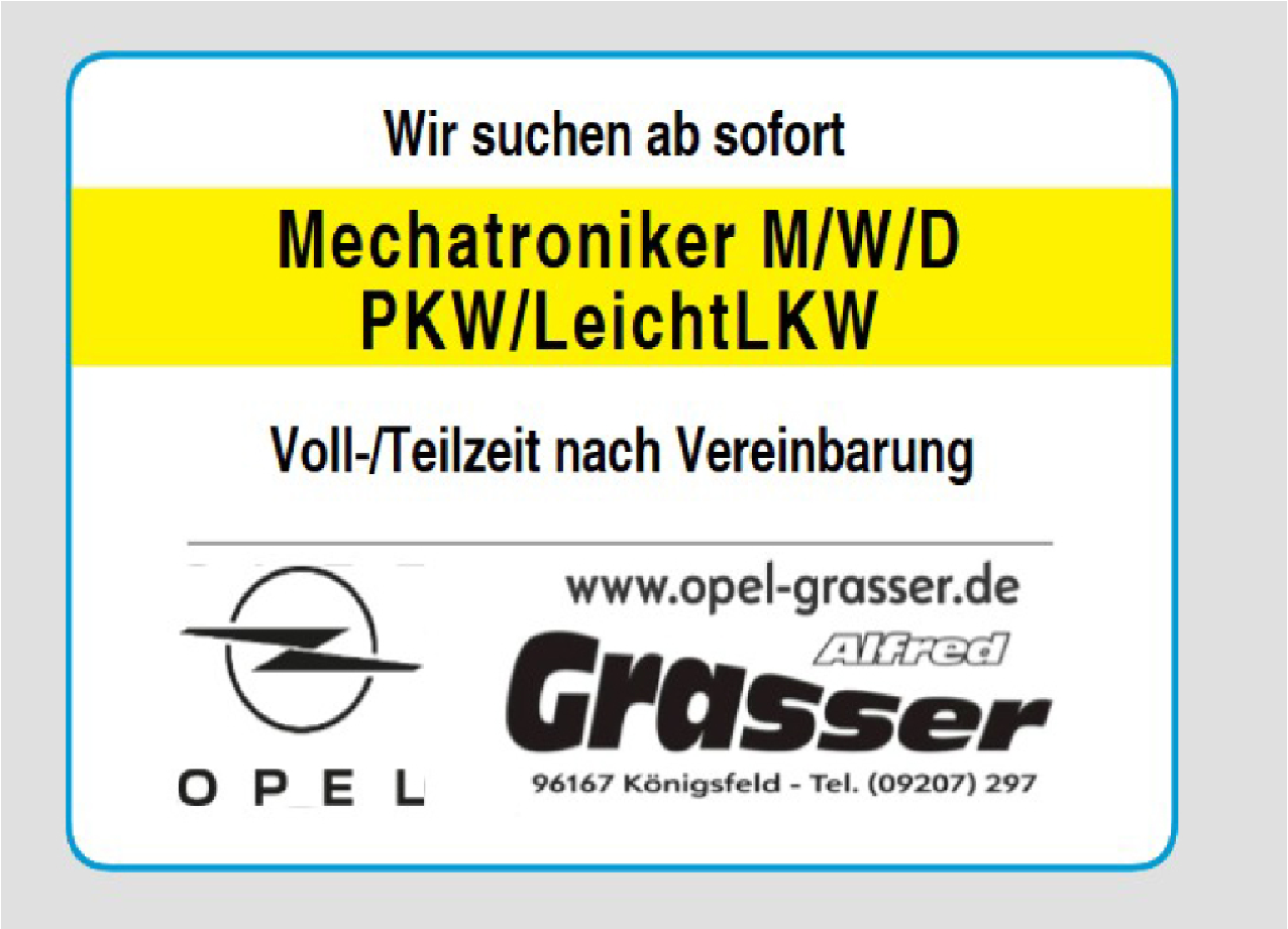 Mechatroniker (m/w/d) PKW/LeichtLKW
